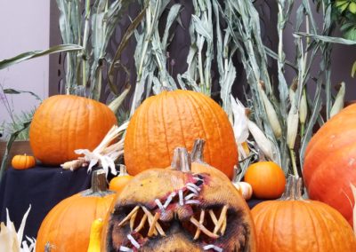 Scarecrow-pumpkin-carving-cw-news